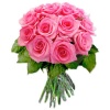 12 Pink Roses 4c96c8020e7d8