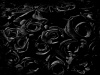 Black-rose-floral-design-1