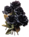 Black-roses