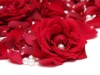 Red-rose-and-pearl-red-rose-wallpaper